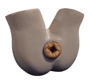 Dr Kodwani's Mannequin
