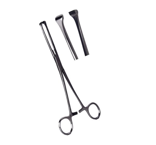 Allis Tissue Forceps