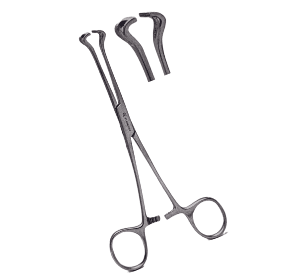 Babcock Tissue Forceps