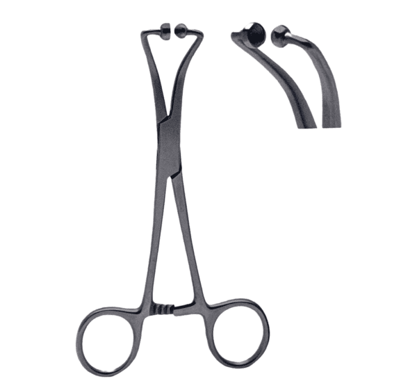 Backhaus Towel Forceps Ball With Scoket Tip