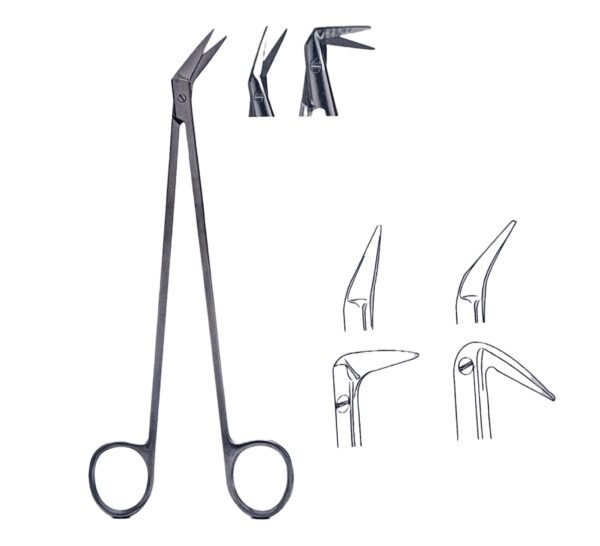 Dietrich Potts s.s. Scissor (7" Inch / 18 CM)