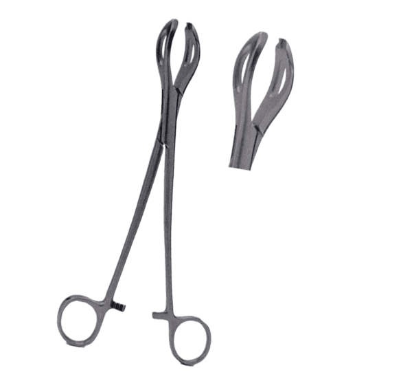 Lanes Tissue Forceps