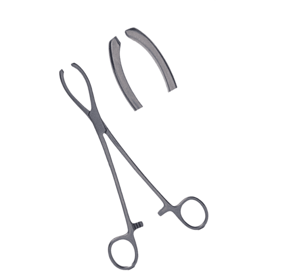 Littlewood Tissue Forceps