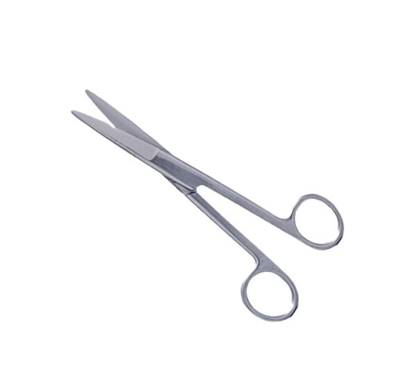 Straight Standard Scissor (Both Tip Pointed)