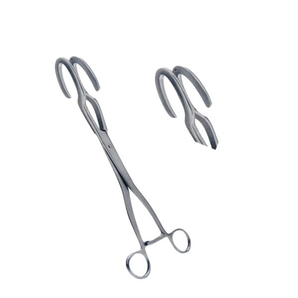 Uterus holding forceps (Dartigues)